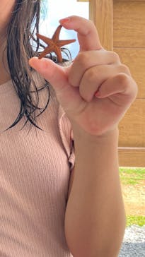 沖縄ダイビングショップシーモールに投稿された画像（2024/8/22）