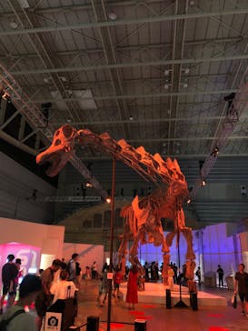 巨大恐竜展2024に投稿された画像（2024/8/22）