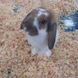 いきもの探検隊上尾に投稿された画像（2024/8/23）