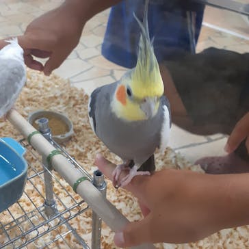 いきもの探検隊上尾に投稿された画像（2024/8/22）