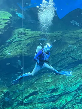仙台うみの杜水族館に投稿された画像（2024/8/22）