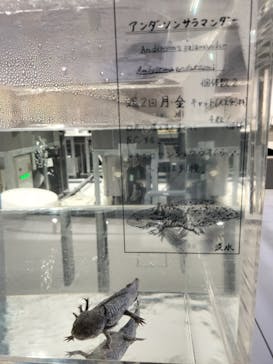 AOAO SAPPOROに投稿された画像（2024/8/23）