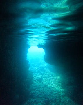 武藤潜水に投稿された画像（2024/8/23）