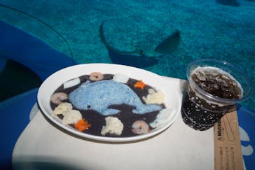 沖縄美ら海水族館に投稿された画像（2024/8/23）