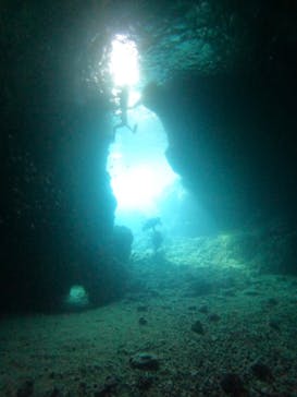 武藤潜水に投稿された画像（2024/8/23）