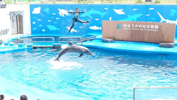 仙台うみの杜水族館に投稿された画像（2024/8/23）