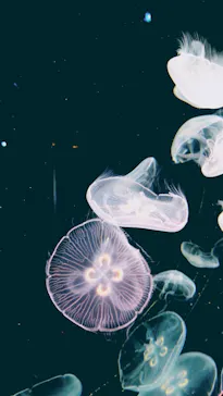 仙台うみの杜水族館に投稿された画像（2024/8/23）