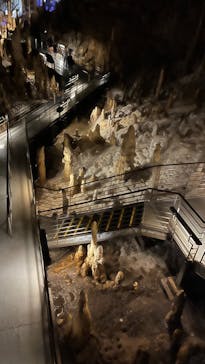 おきなわワールドに投稿された画像（2024/8/23）