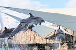 名古屋港水族館に投稿された画像（2024/8/20）
