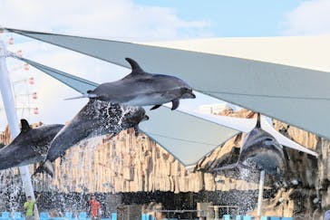 名古屋港水族館に投稿された画像（2024/8/20）
