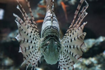 名古屋港水族館に投稿された画像（2024/8/20）
