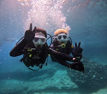 沖縄マリンサービス碧に投稿された画像（2024/8/23）