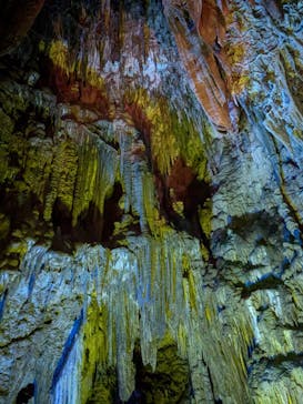 あぶくま洞に投稿された画像（2024/8/23）