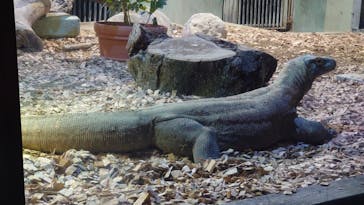 名古屋市東山動植物園に投稿された画像（2024/8/23）