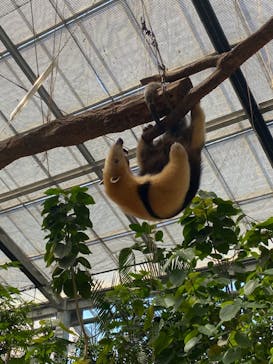 神戸どうぶつ王国に投稿された画像（2024/8/23）