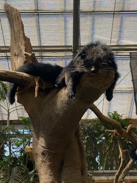 神戸どうぶつ王国に投稿された画像（2024/8/23）