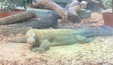 名古屋市東山動植物園に投稿された画像（2024/8/23）