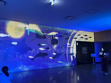 仙台うみの杜水族館に投稿された画像（2024/8/23）