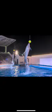 仙台うみの杜水族館に投稿された画像（2024/8/23）