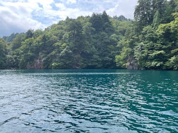 リブパイオニアに投稿された画像（2024/8/23）