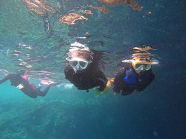 沖縄マリンサービス碧に投稿された画像（2024/8/23）