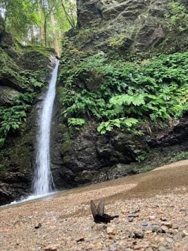 高福寺に投稿された画像（2024/8/23）