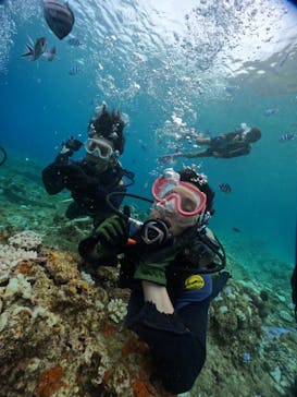 武藤潜水に投稿された画像（2024/8/23）