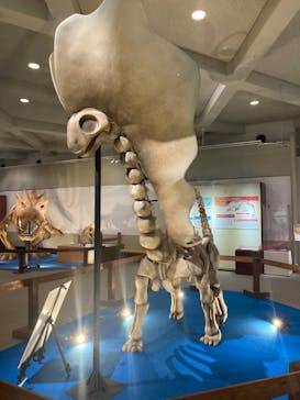 岐阜県博物館に投稿された画像（2024/8/23）