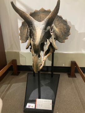 岐阜県博物館に投稿された画像（2024/8/23）