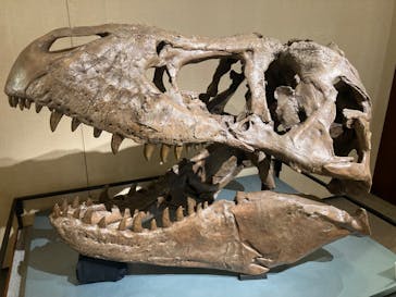 岐阜県博物館に投稿された画像（2024/8/23）