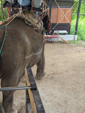 那須ワールドモンキーパークに投稿された画像（2024/8/23）