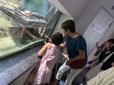 名古屋港水族館に投稿された画像（2024/8/23）