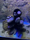 仙台うみの杜水族館に投稿された画像（2024/8/23）