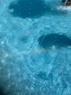 海の中道サンシャインプールに投稿された画像（2024/8/23）