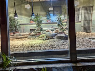 名古屋市東山動植物園に投稿された画像（2024/8/23）