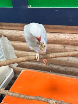 いきもの探検隊上尾に投稿された画像（2024/8/23）