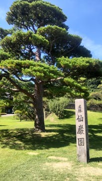 仙巌園に投稿された画像（2024/8/23）