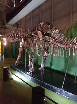 巨大恐竜展2024に投稿された画像（2024/8/23）