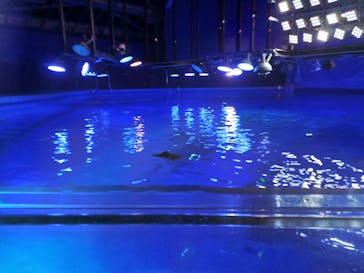 のとじま水族館に投稿された画像（2024/8/23）