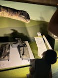 巨大恐竜展2024に投稿された画像（2024/8/23）