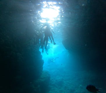 沖縄マリンサービス碧に投稿された画像（2024/8/23）