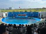 仙台うみの杜水族館に投稿された画像（2024/8/23）