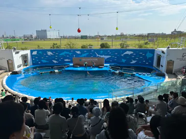 仙台うみの杜水族館に投稿された画像（2024/8/23）