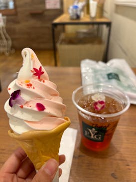 横浜イングリッシュガーデンに投稿された画像（2024/8/23）