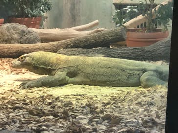 名古屋市東山動植物園に投稿された画像（2024/8/23）