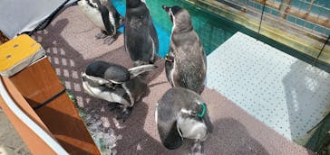 伊豆・三津シーパラダイスに投稿された画像（2024/8/23）