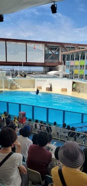 伊豆・三津シーパラダイスに投稿された画像（2024/8/23）