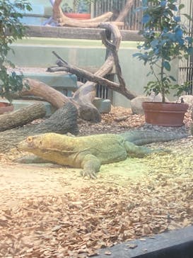 名古屋市東山動植物園に投稿された画像（2024/8/23）