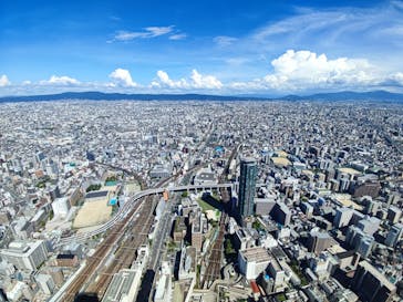 ハルカス300(展望台)に投稿された画像（2024/8/23）