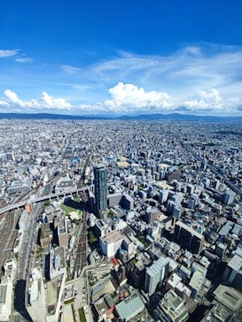 ハルカス300(展望台)に投稿された画像（2024/8/23）